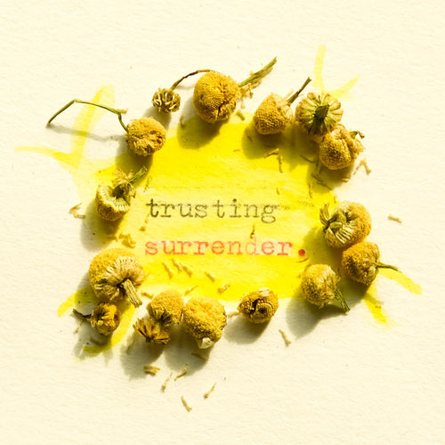 Trusting Surrender