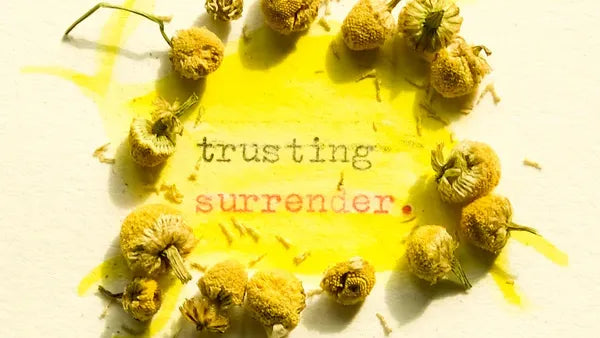 Trusting Surrender